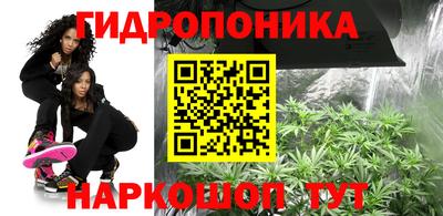гидра Гай