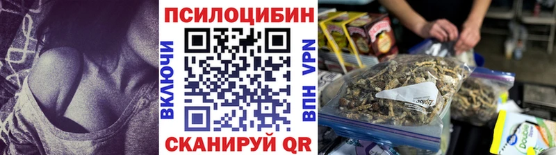 hydra зеркало Павлово Псилоцибиновые грибы мухоморы